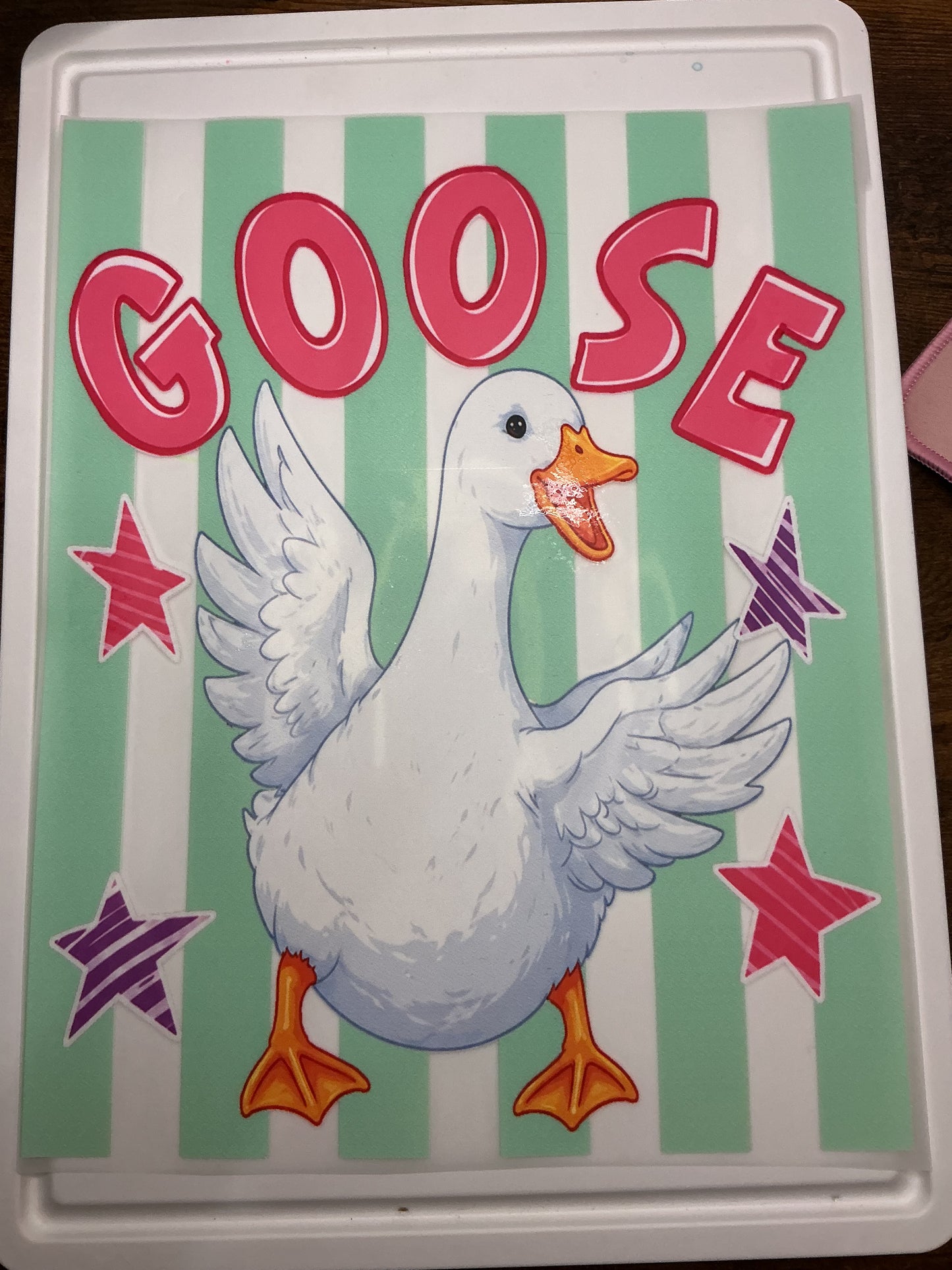 Stripe Duck Duck Goose