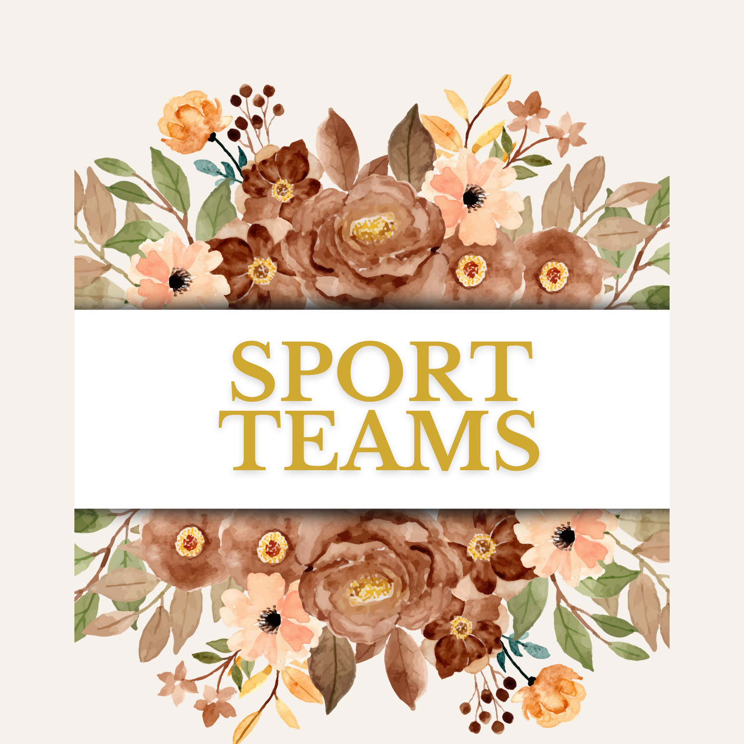 Sport Teams