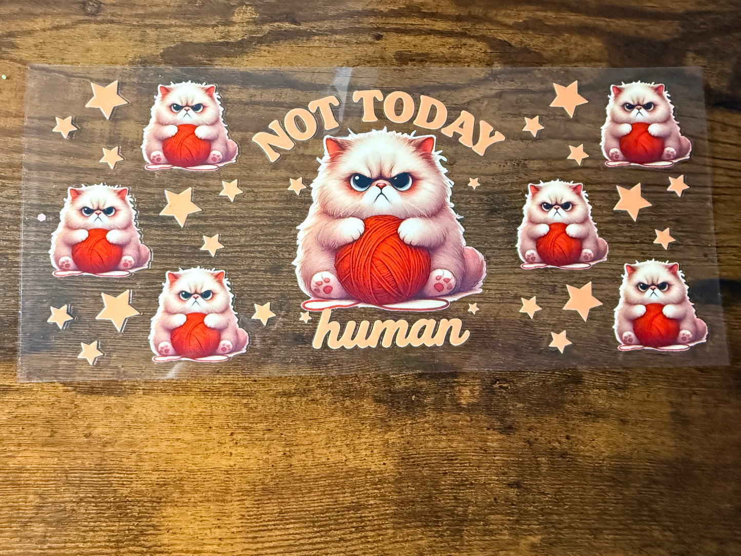 Not Today Human