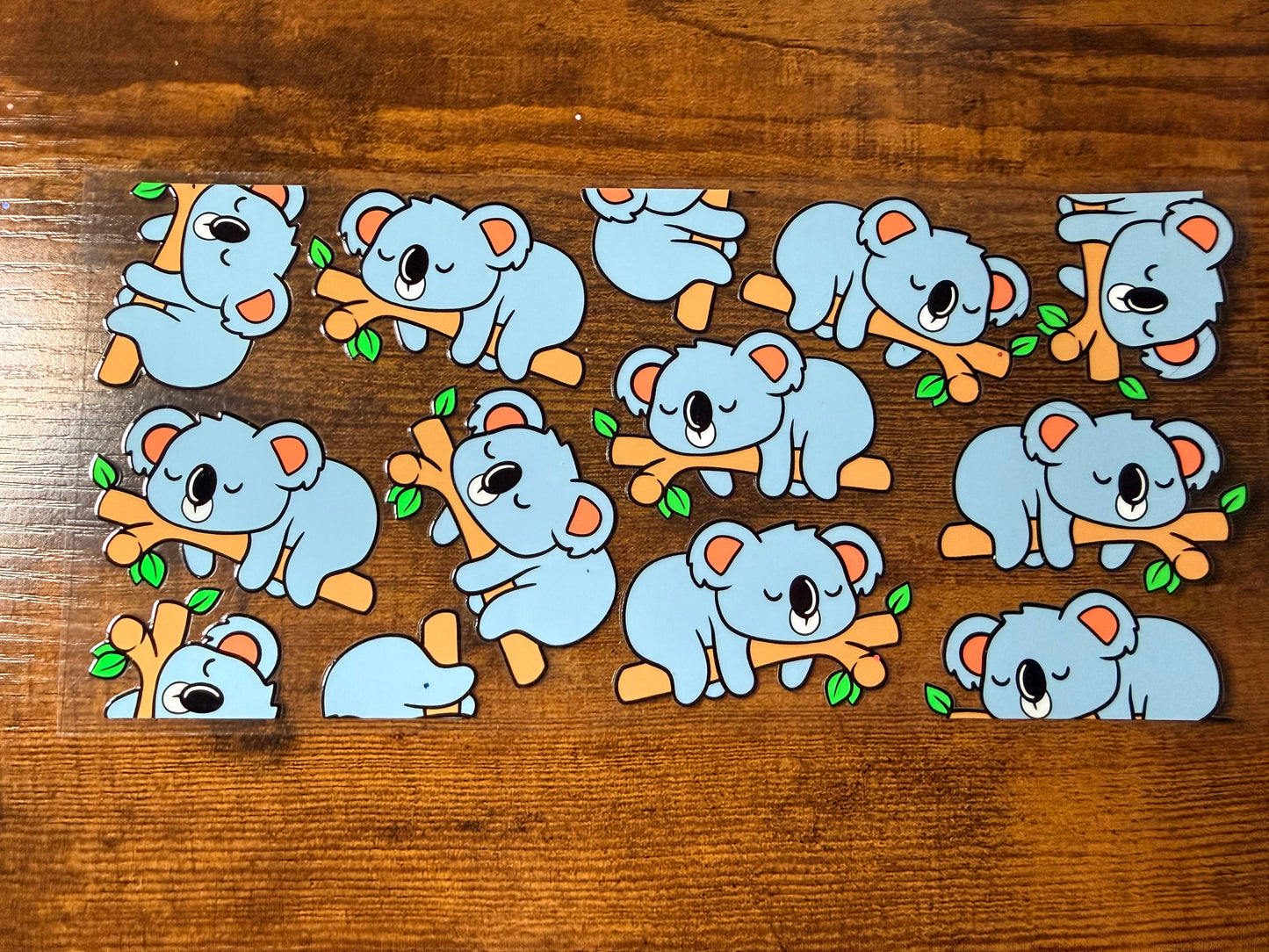 Koala