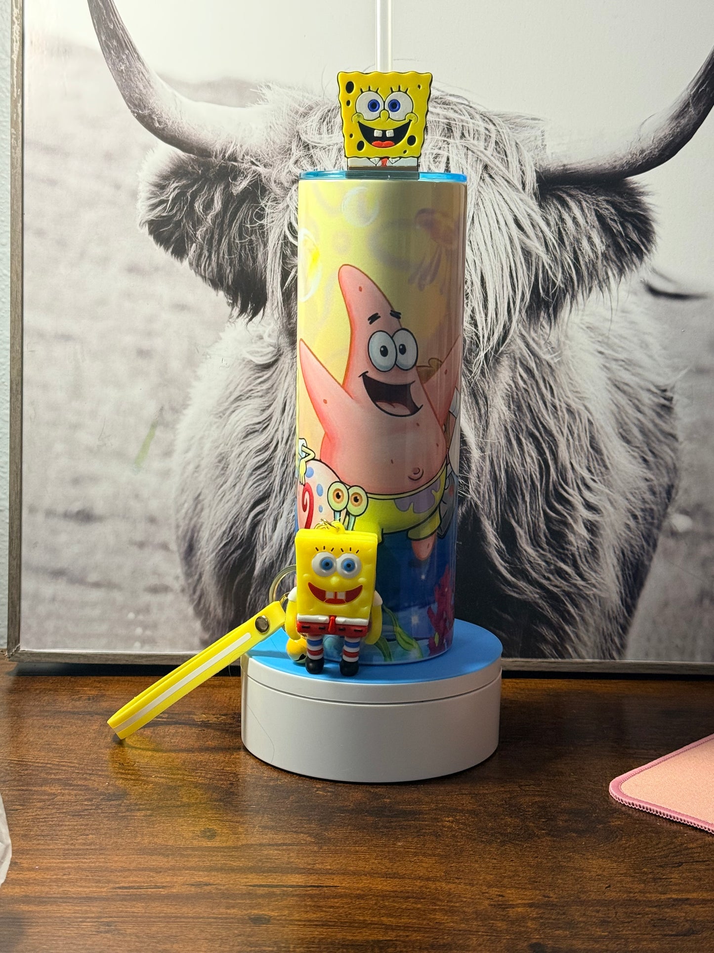 SpongeBob Stainless Steel with Matching Accessories